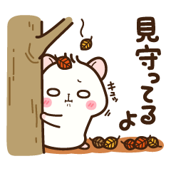 Hamster / Nagomu Autumn