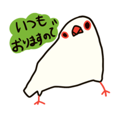 Java sparrow love sticker #12605041
