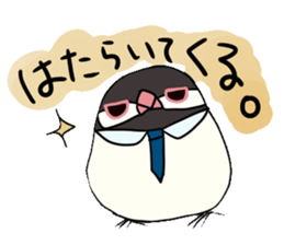 Java sparrow love sticker #12605043