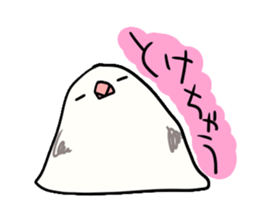 Java sparrow love sticker #12605044