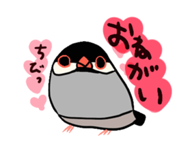 Java sparrow love sticker #12605045