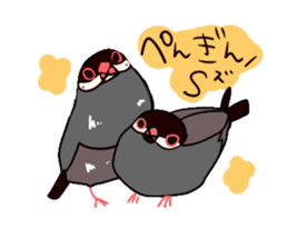 Java sparrow love sticker #12605047