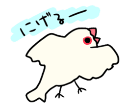 Java sparrow love sticker #12605050