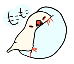 Java sparrow love sticker #12605054