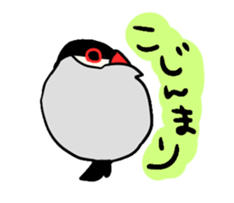 Java sparrow love sticker #12605057