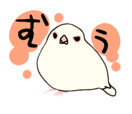 Java sparrow love sticker #12605061