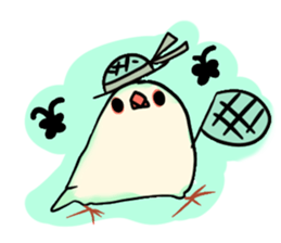Java sparrow love sticker #12605063