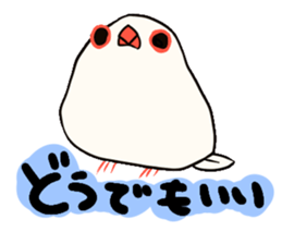Java sparrow love sticker #12605071