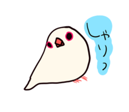 Java sparrow love sticker #12605075