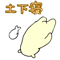 White bear & child seal