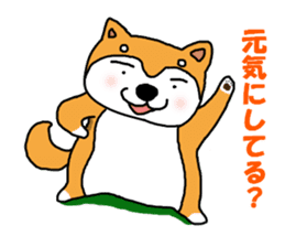 Honwaka Shiba Inu sticker #12608406