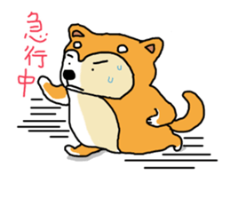 Honwaka Shiba Inu sticker #12608411