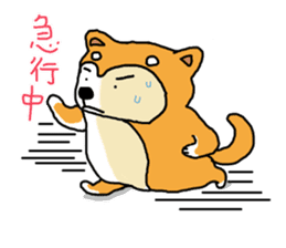 Honwaka Shiba Inu sticker #12608411