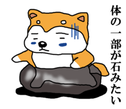 Honwaka Shiba Inu sticker #12608412