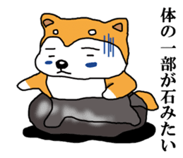 Honwaka Shiba Inu sticker #12608412