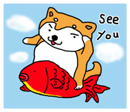 Honwaka Shiba Inu sticker #12608414