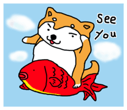 Honwaka Shiba Inu sticker #12608414