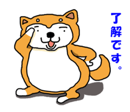 Honwaka Shiba Inu sticker #12608415