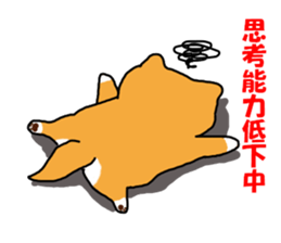 Honwaka Shiba Inu sticker #12608416