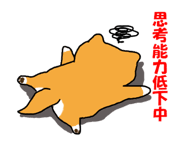 Honwaka Shiba Inu sticker #12608416