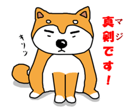 Honwaka Shiba Inu sticker #12608421