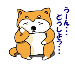 Honwaka Shiba Inu sticker #12608422