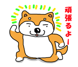 Honwaka Shiba Inu sticker #12608427