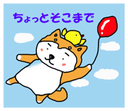 Honwaka Shiba Inu sticker #12608429