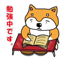 Honwaka Shiba Inu sticker #12608439