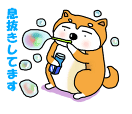 Honwaka Shiba Inu sticker #12608442