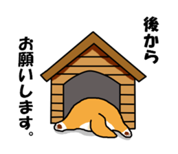 Honwaka Shiba Inu sticker #12608443