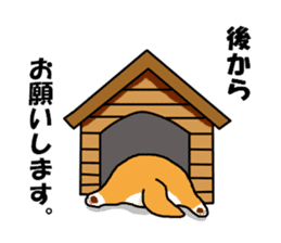 Honwaka Shiba Inu sticker #12608443