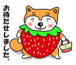Honwaka Shiba Inu sticker #12608444