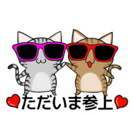 Sunglasses cat ASHver sticker #12609311
