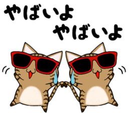 Sunglasses cat ASHver sticker #12609314
