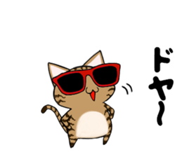 Sunglasses cat ASHver sticker #12609330
