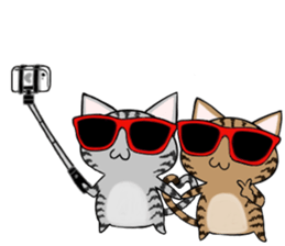 Sunglasses cat ASHver sticker #12609332