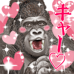 Gorilla lover