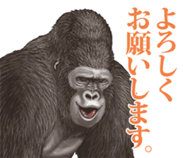 Gorilla lover sticker #12610458