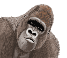 Gorilla lover sticker #12610463