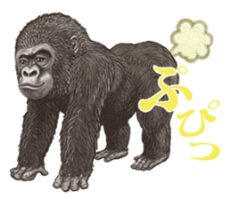 Gorilla lover sticker #12610476