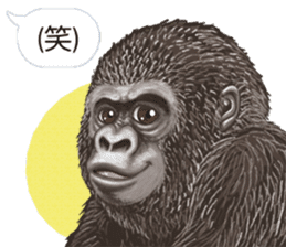 Gorilla lover sticker #12610479
