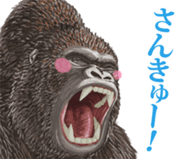 Gorilla lover sticker #12610489