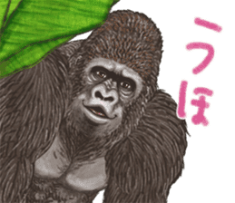Gorilla lover sticker #12610493