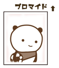 SoccoerPANDA2 sticker #12611078