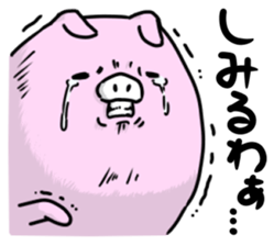 Wild boar and pig. sticker #12620509