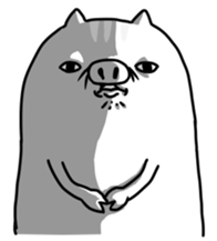 Wild boar and pig. sticker #12620515