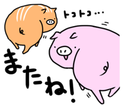 Wild boar and pig. sticker #12620533