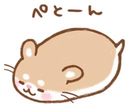 Fluffy Roborovskii hamster sticker #12621501