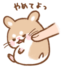 Fluffy Roborovskii hamster sticker #12621505